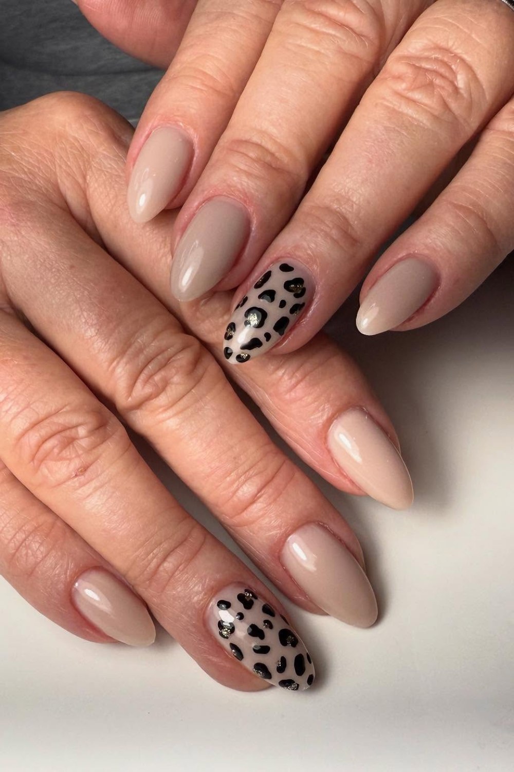 Wild Side Accent