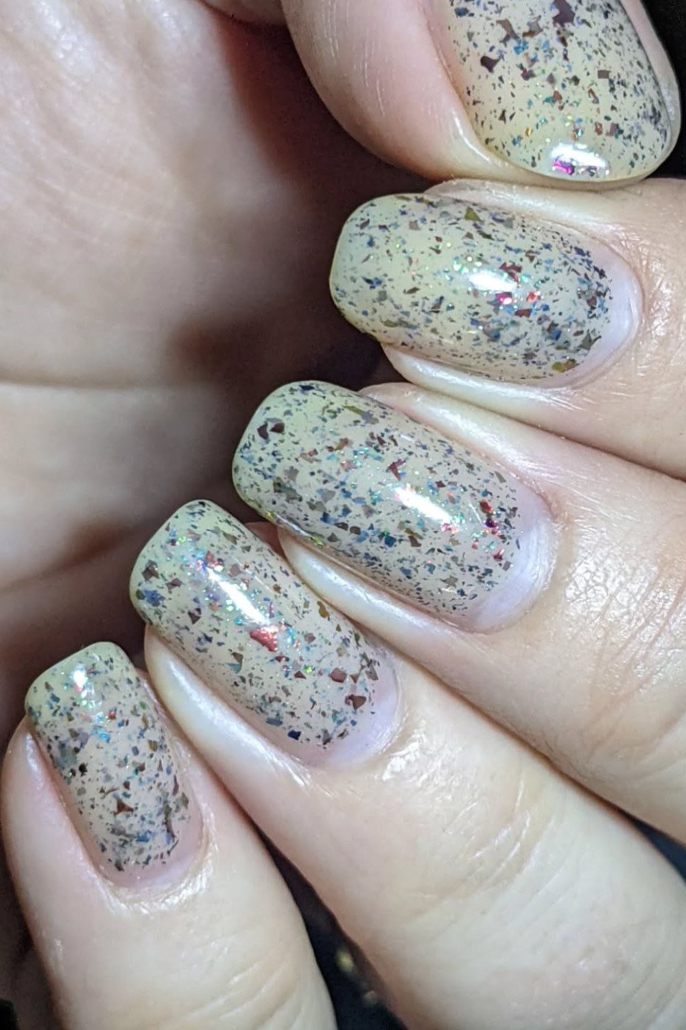 Speckled Sensation