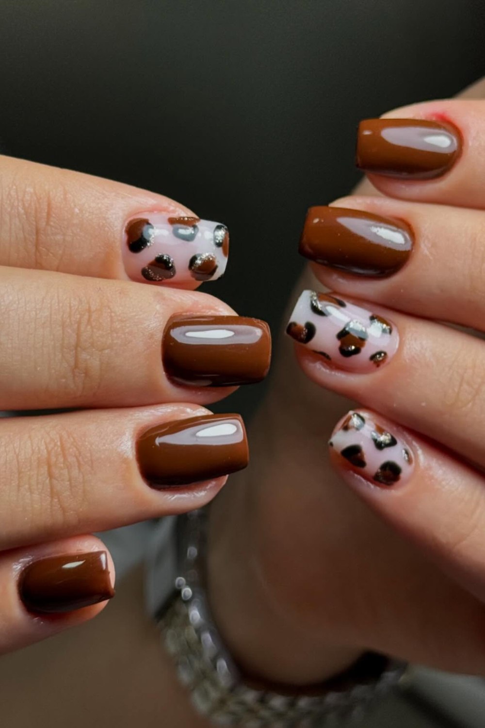 Glossy Brown with Leopard Print