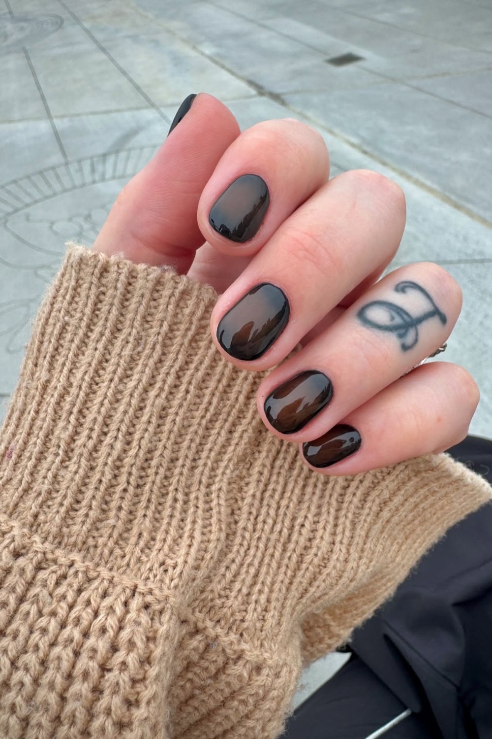 Glossy Dark Brown and Black
