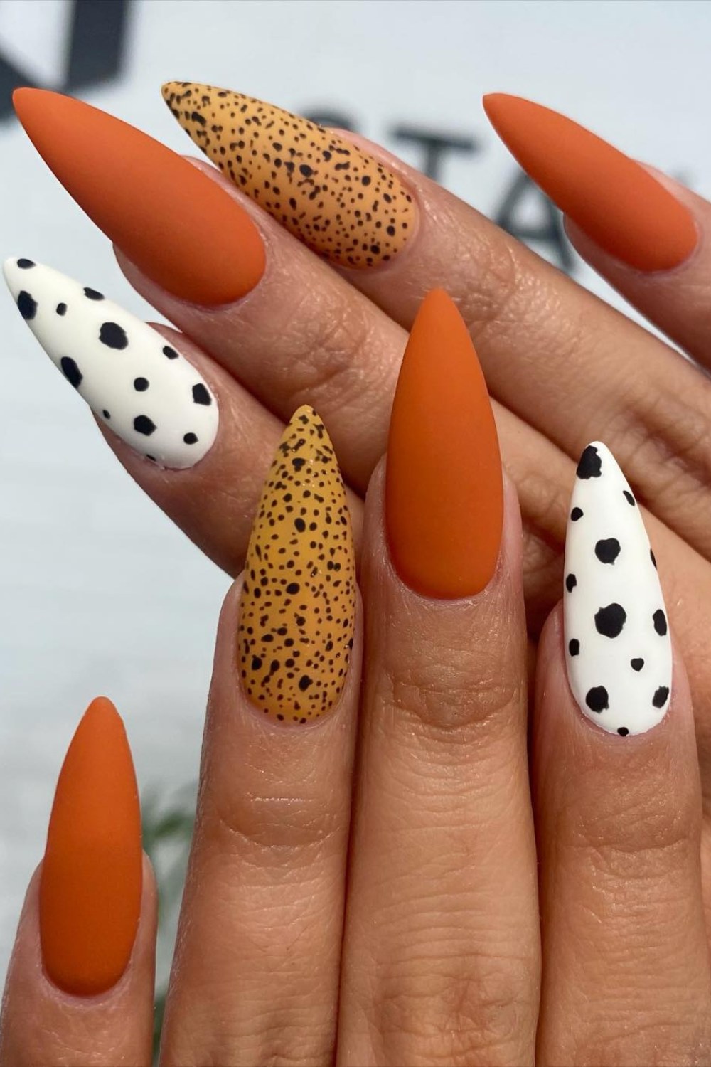 Matte Animal Magic