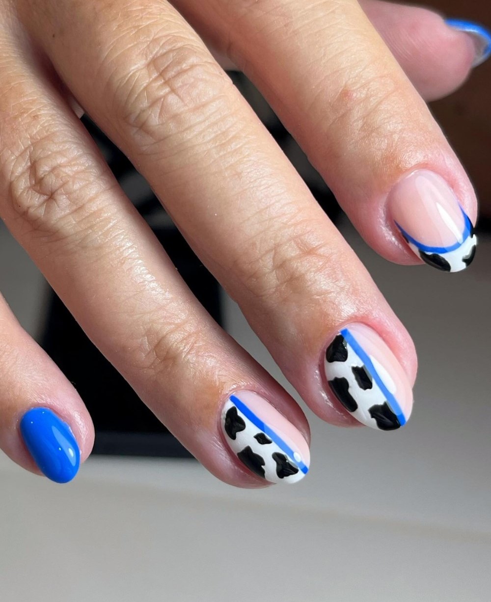 Blue French Cow