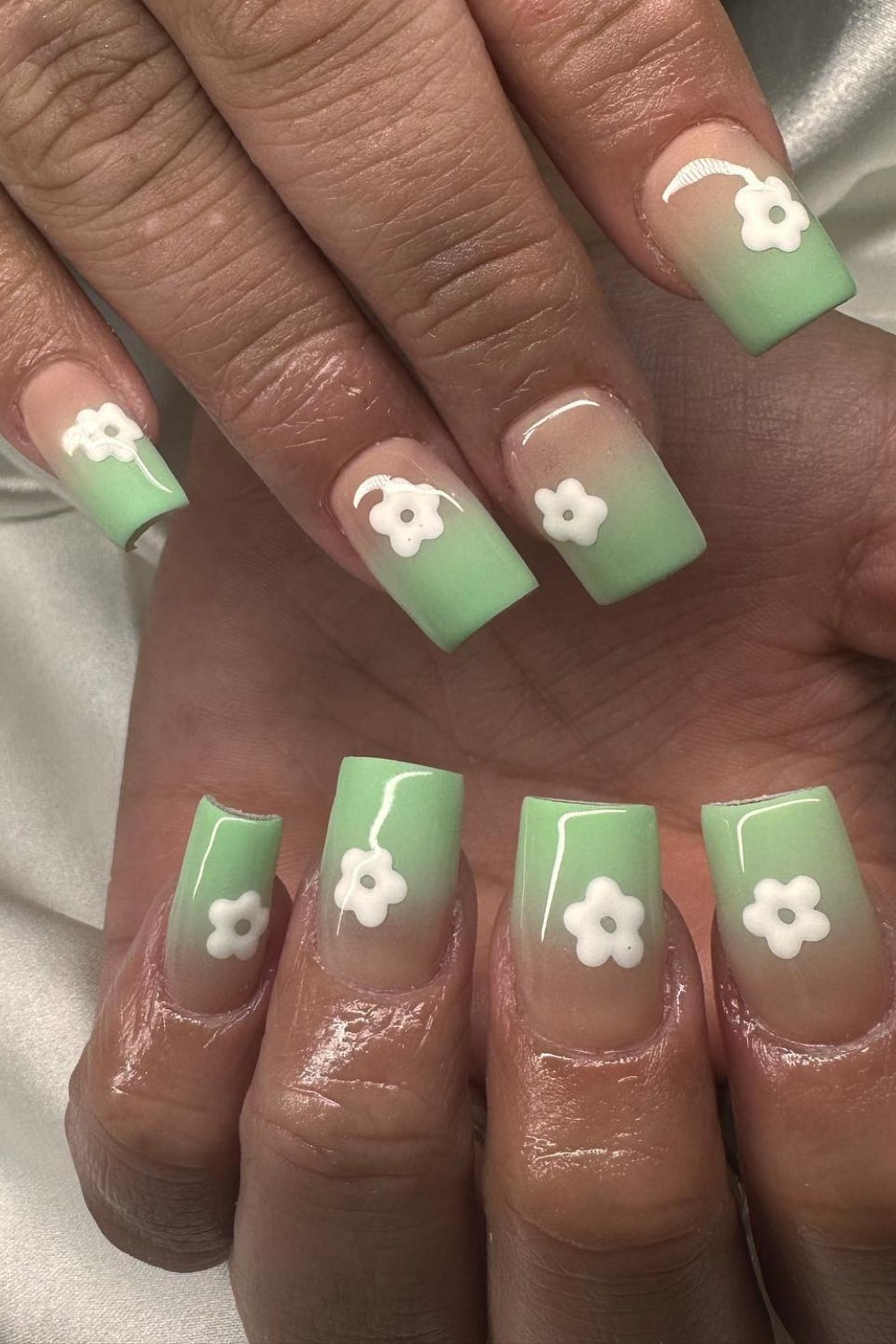 Ombre Daisy Tips