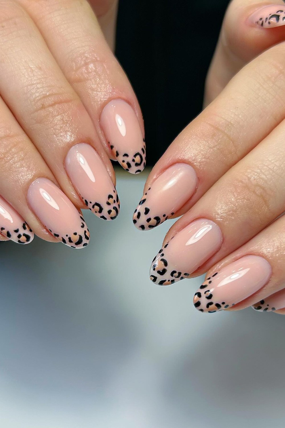 Leopard Luxe French