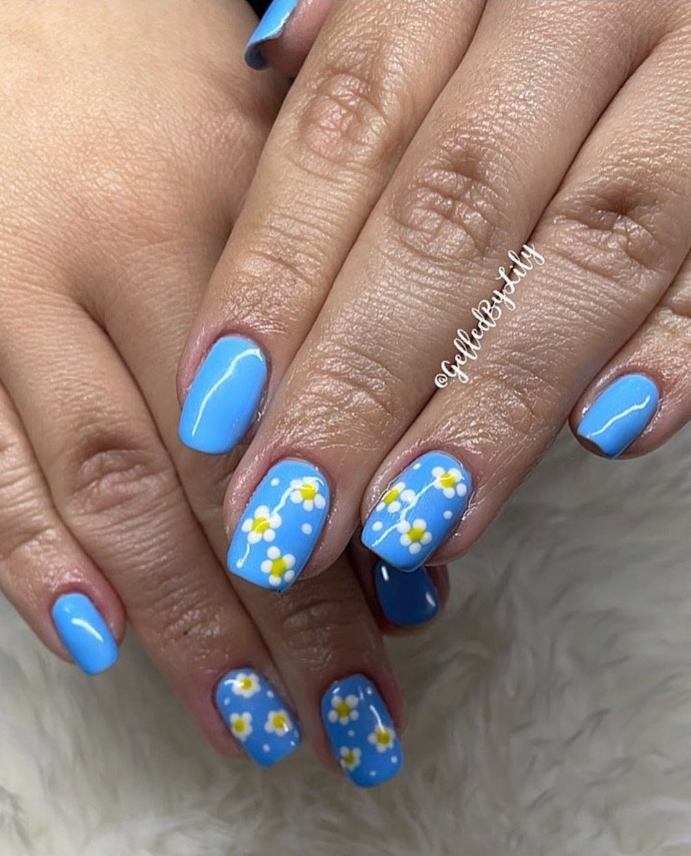 Daisy Fresh