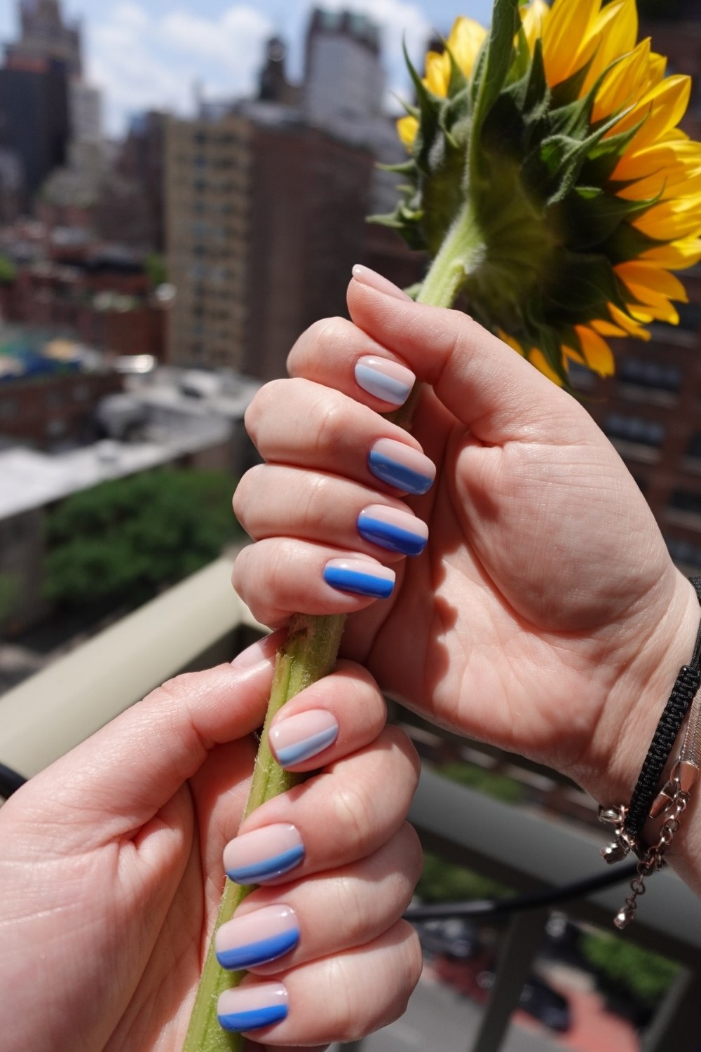 Ocean Ombre