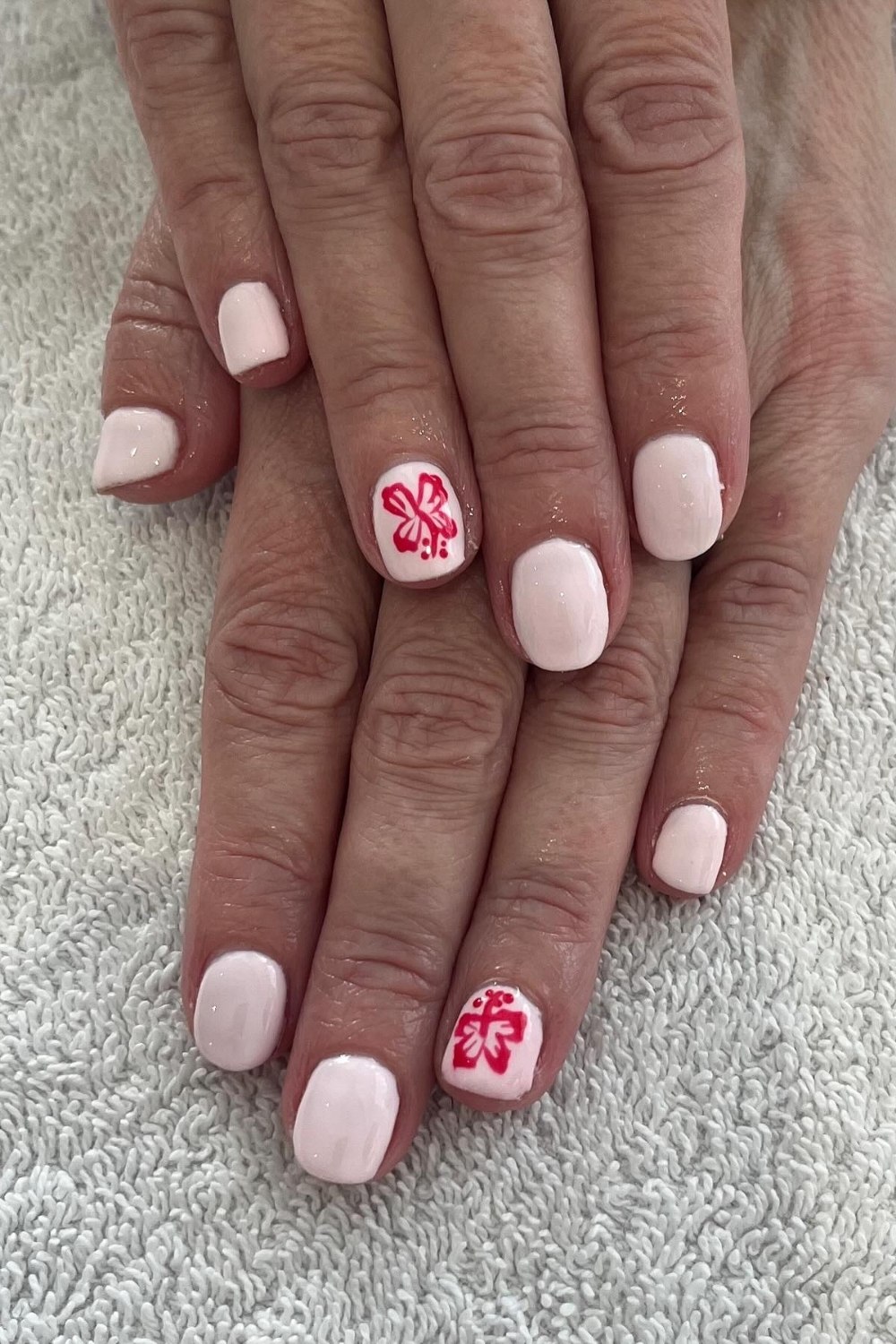 Hibiscus Accent
