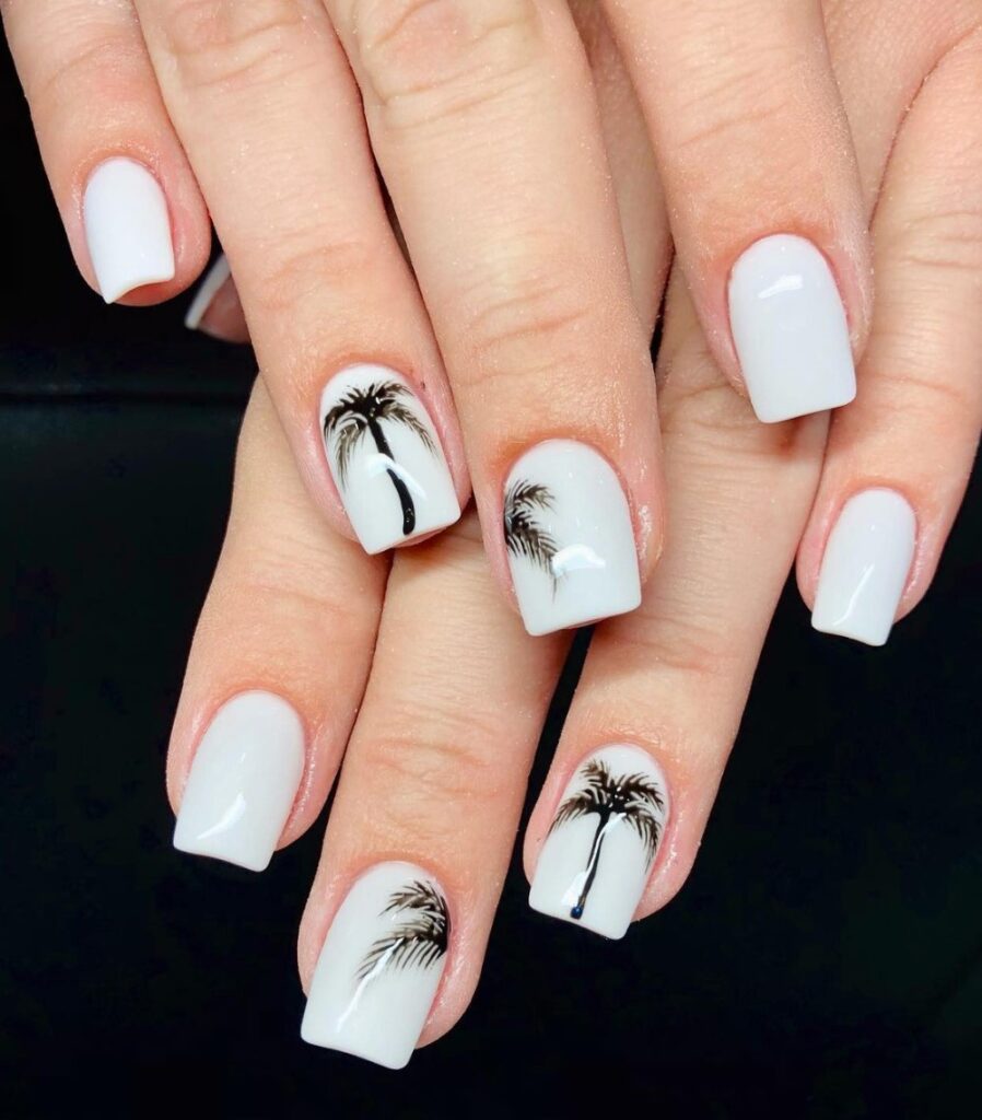 Palm Tree Paradise