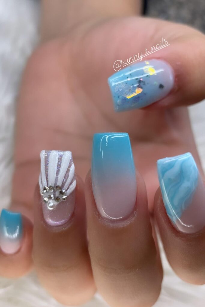 Seashell Treasures